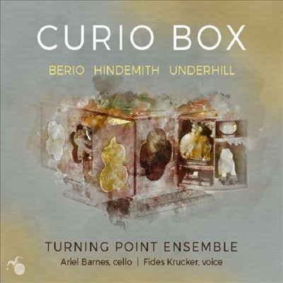 큐리오 박스 (Curio Box)(CD) - Owen Underhill