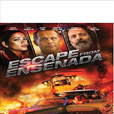 Escape From Ensenada (테이큰: 미녀들의 전쟁) (BD-R)(한글무자막)(Blu-ray)