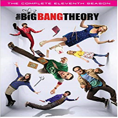 The Big Bang Theory: Season 11 (빅뱅이론: 시즌 11)(지역코드1)(한글무자막)(DVD)