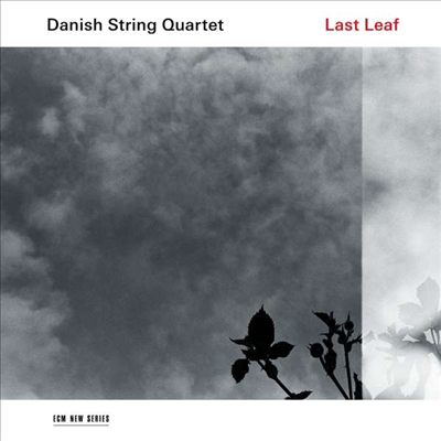 덴마크 현악 사중주단 - 현악 사중주 편곡 작품집 (Danish String Quartet - Last Leaf) (180G)(LP) - Danish String Quartet