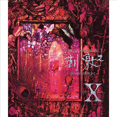 X-Japan (엑스 재팬) - Visual Shock Vol.3 刺激2 -夢の中にだけ生きて- (Blu-ray)(Blu-ray)(2018)