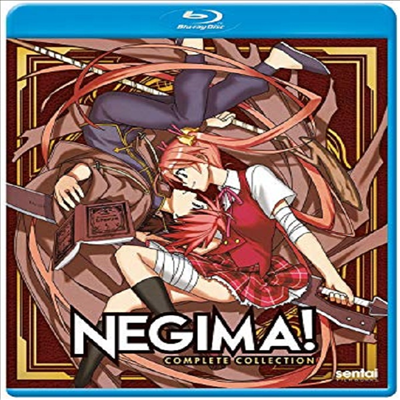 Negima (네기마)(한글무자막)(Blu-ray)