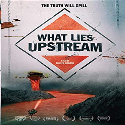 What Lies Upstream (왓 라이즈 업스트림)(지역코드1)(한글무자막)(DVD)