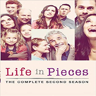 Life In Pieces: The Complete Second Season (라이프 인 피시즈 시즌 2)(지역코드1)(한글무자막)(DVD-R)