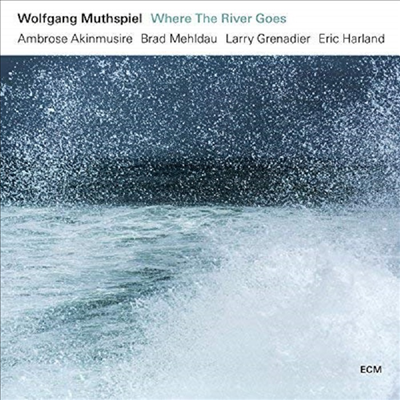 Wolfgang Muthspiel - Where The River Goes (CD)