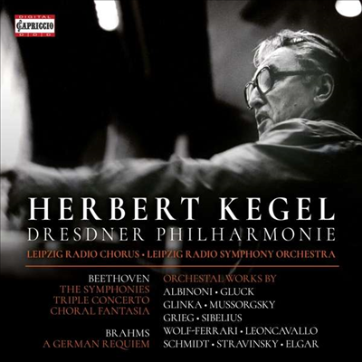 헤르베르트 케겔 - 카프리치오 에디션 (Herbert Kegel - Capriccio Edition) (8CD Boxset) - Herbert Kegel