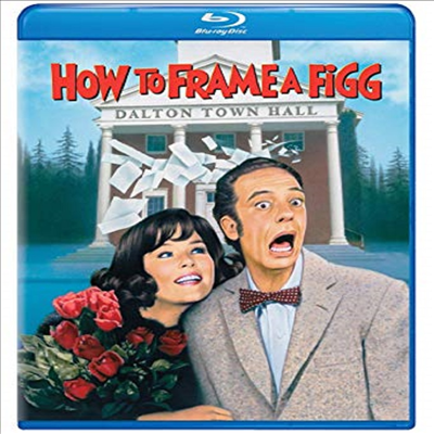 How To Frame A Figg (하우 두 프래임 피그) (BD-R)(한글무자막)(Blu-ray)