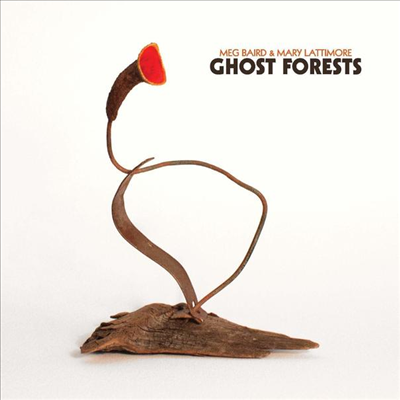 Meg Baird &amp; Mary Lattimore - Ghost Forests (CD)