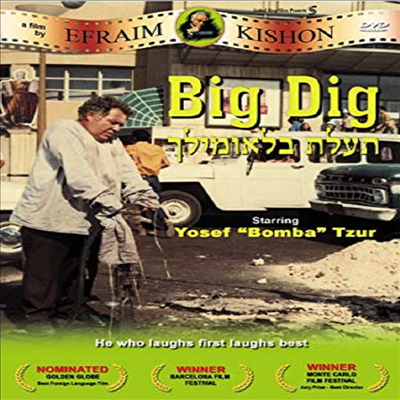 Big Dig (빅 딕)(지역코드1)(한글무자막)(DVD)