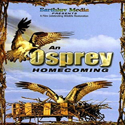 Osprey Homecoming (오스프리 홈커밍)(지역코드1)(한글무자막)(DVD)