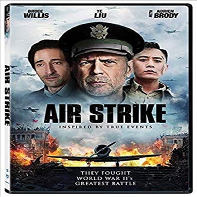 Air Strike (대폭격)(지역코드1)(한글무자막)(DVD)
