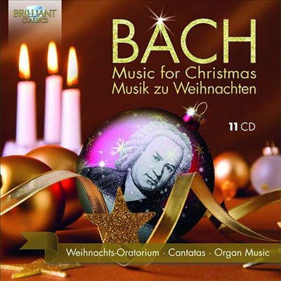 바흐 - 크리스마스를 위한 작품집 (Bach - Music for Christmas) (11CD Boxset) - Martin Flamig