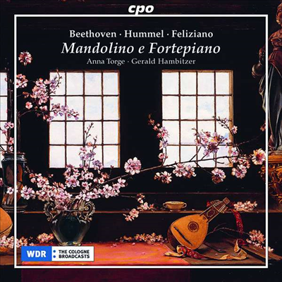 베토벤: 만돌린과 포르테피아노를 위한 작품집 (Beethoven: Mandolin and Fortepiano Works)(CD) - Anna Torge
