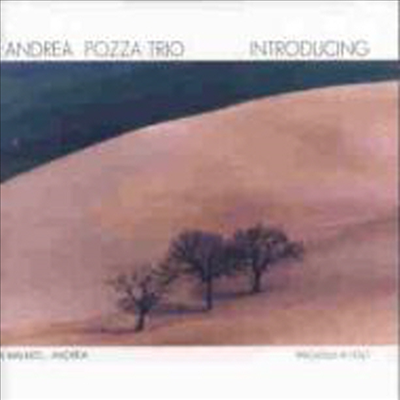 Andrea Pozza Trio - Introducing (CD)