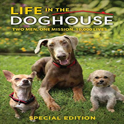 Life In The Doghouse (라이프 인 더 독하우스)(지역코드1)(한글무자막)(DVD)