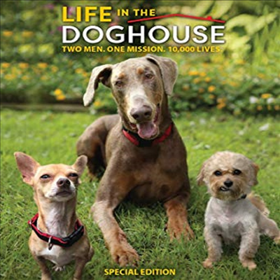 Life In The Doghouse (라이프 인 더 독하우스)(한글무자막)(Blu-ray)