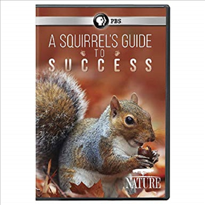 Nature: A Squirrel&#39;s Guide To Success (네이처)(지역코드1)(한글무자막)(DVD)