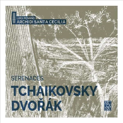 드보르작 & 차이코프스키: 현을 위한 세레나데 (Dvorak & Tchaikovsky: Serenade for Strings)(CD) - Luigi Piovano