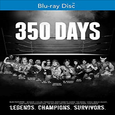 350 Days (350 데이즈)(한글무자막)(Blu-ray)