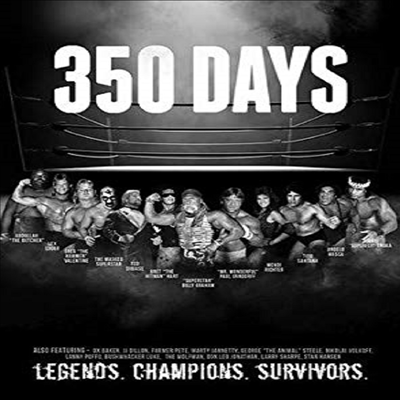 350 Days (350 데이즈)(지역코드1)(한글무자막)(DVD)