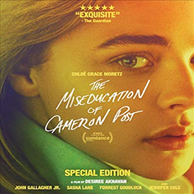 Miseducation Of Cameron Post (카메론 포스트의 잘못된 교육)(한글무자막)(Blu-ray)