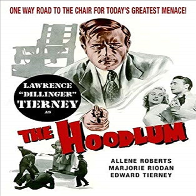 Hoodlum (후드럼)(지역코드1)(한글무자막)(DVD)