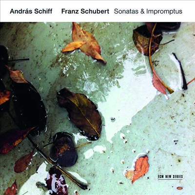 슈베르트: 피아노 소나타 19, 20번 &amp; 즉흥곡 (Schubert: Piano Sonatas Nos.19, 20 &amp; Impromptu) (2CD) - Andras Schiff