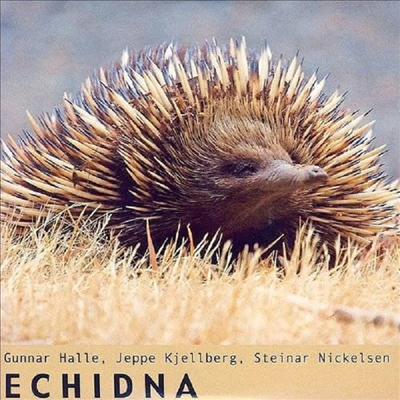 Gunnar Halle - Echidna (CD)