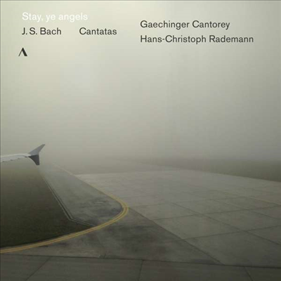 바흐: 칸타타 19, 149, 158, 169번 (Kantaten BWV19,149,158,169) (CD) - Hans-Christoph Rademann