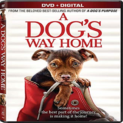 Dog's Way Home (더 웨이 홈)(지역코드1)(DVD)