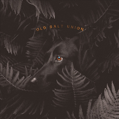 Old Salt Union - Where The Dogs Don't Bite (CD)