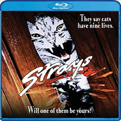 Strays (1991) (와일드 캣츠)(한글무자막)(Blu-ray)