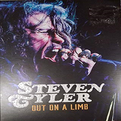 Steven Tyler: Out On A Limb (스티븐 타일러)(지역코드1)(한글무자막)(DVD)