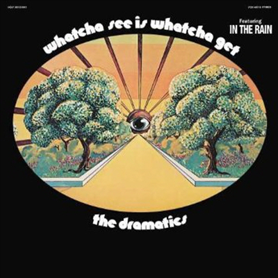 Dramatics - Whatcha See Is Whatcha Get (LP)