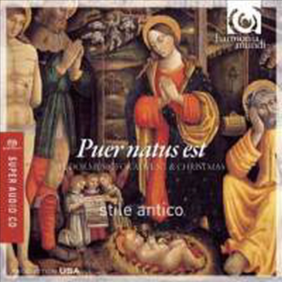 강림절과 크리스마스를 위한 튜더 음악 (Puer natus est - Tudor Music for Advent &amp; Christmas) (SACD Hybrid) - Stile Antico