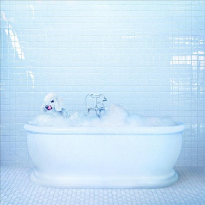 Frankie Cosmos - Vessel (CD)