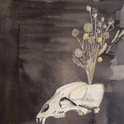Steve Gunn / Black Twig Pickers - Seasonal Hire (CD)
