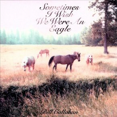 Bill Callahan - Sometimes I Wish We Were An Eagle (Vinyl LP)