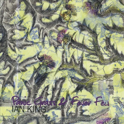 Ian King - Panic Grass & Fever Few (CD)