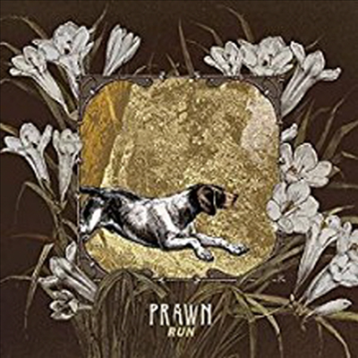 Prawn - Run (CD)