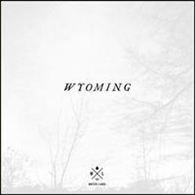 Water Liars - Wyoming (LP)