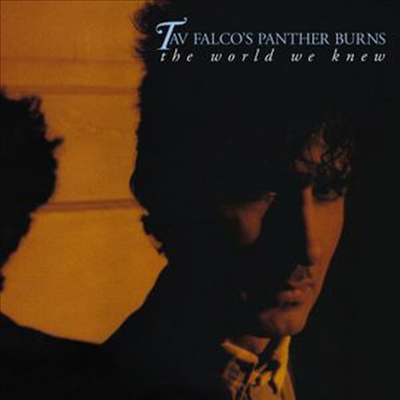 Tav Falco's Panther Burns - The World We Knew (2CD)
