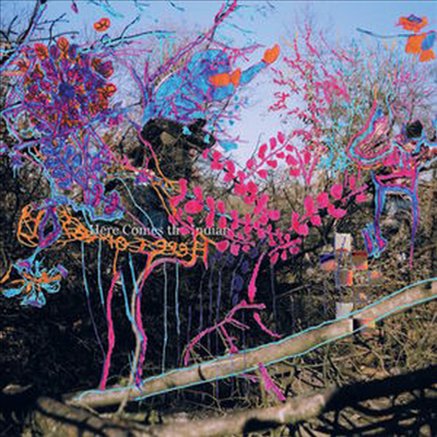 Animal Collective - Here Comes The Indian (Vinyl LP)