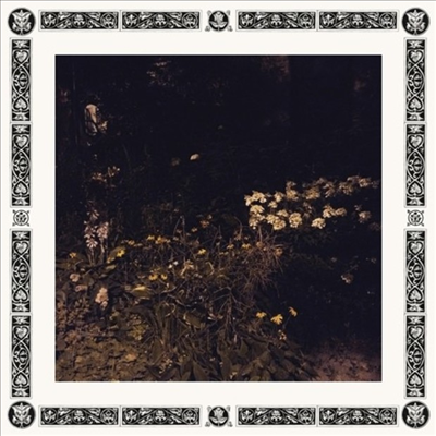 Sarah Davachi - Pale Bloom (CD)