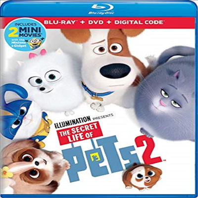 Secret Life Of Pets 2 (마이펫의 이중생활 2)(한글무자막)(Blu-ray+DVD)