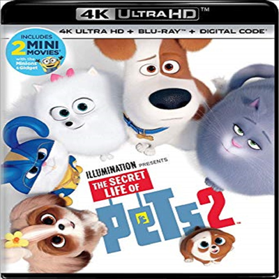 Secret Life Of Pets 2 (마이펫의 이중생활 2)(한글무자막) (4K Blu-ray+Blu-ray)