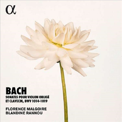 바흐: 바이올린과 하프시코드를 위한 소나타집 BWV1014 - 1019 (Bach: Sonatas for Violin and Harpsichord) (2CD) - Florence Malgoire