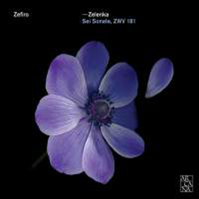 젤렌카: 6개의 트리오 소나타 (Zelenka: Trio Sonatas Nos.1 - 6) (2CD) - Zefiro