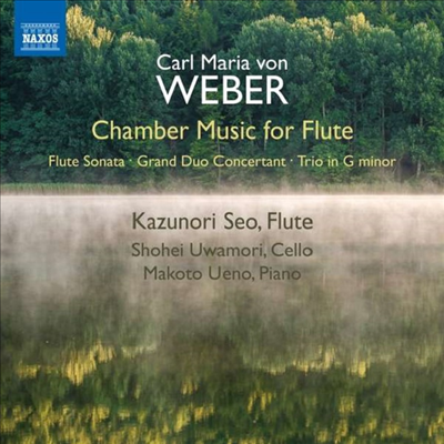 베버: 플루투를 위한 실내악 작품집 (Weber: Chamber Works for Flute)(CD) - Kazunori Seo