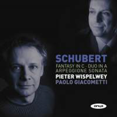 슈베르트 : 아르페지오네 소나타, 첼로와 피아노를 위한 듀오 D574, 환상곡 D934 (비스펠베이 편곡)(CD) - Pieter Wispelwey